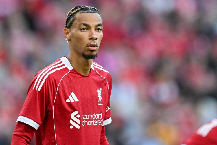 日讯, 希望能在安, 斯比安家落